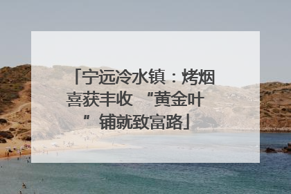 宁远冷水镇：烤烟喜获丰收 “黄金叶”铺就致富路