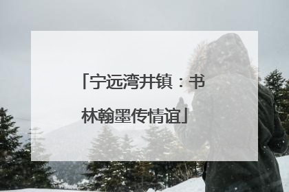 宁远湾井镇：书林翰墨传情谊