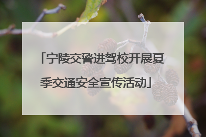 宁陵交警进驾校开展夏季交通安全宣传活动