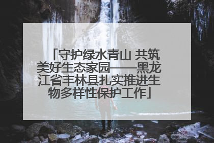 守护绿水青山 共筑美好生态家园——黑龙江省丰林县扎实推进生物多样性保护工作