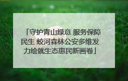 守护青山绿意 服务保障民生 蛟河森林公安多维发力绘就生态惠民新画卷