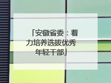 安徽省委：着力培养选拔优秀年轻干部