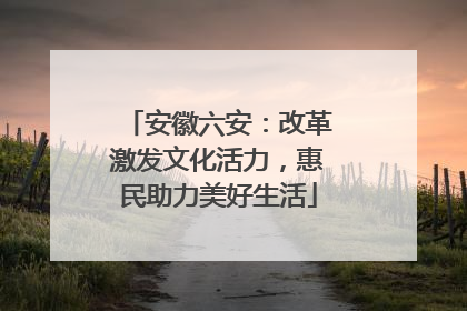 安徽六安：改革激发文化活力，惠民助力美好生活