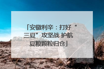 安徽利辛：打好“三夏”攻坚战 护航夏粮颗粒归仓