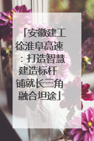 安徽建工徐淮阜高速：打造智慧建造标杆 铺就长三角融合坦途