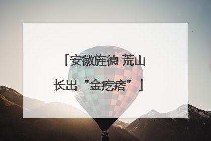 安徽旌德 荒山长出“金疙瘩”