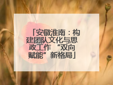 安徽淮南：构建团队文化与思政工作 “双向赋能”新格局