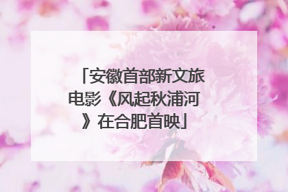 安徽首部新文旅电影《风起秋浦河》在合肥首映