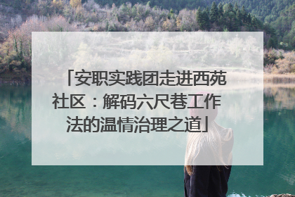 安职实践团走进西苑社区：解码六尺巷工作法的温情治理之道