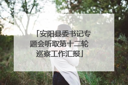 安阳县委书记专题会听取第十二轮巡察工作汇报