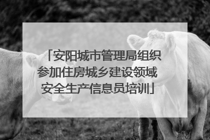 安阳城市管理局组织参加住房城乡建设领域安全生产信息员培训