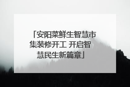 安阳菜鲜生智慧市集装修开工 开启智慧民生新篇章
