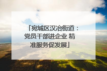 宛城区汉冶街道：党员干部进企业 精准服务促发展