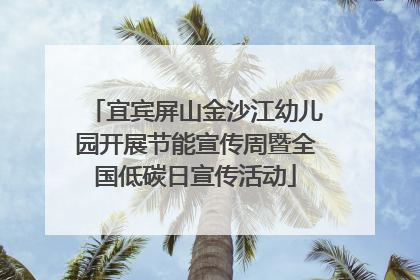 宜宾屏山金沙江幼儿园开展节能宣传周暨全国低碳日宣传活动