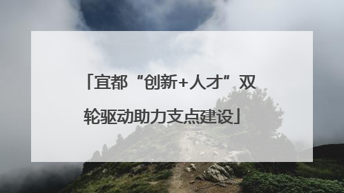 宜都“创新+人才”双轮驱动助力支点建设