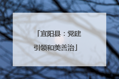 宜阳县：党建引领和美善治