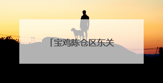 宝鸡陈仓区东关街道南阳村：大棚经济结硕果 绘就乡村振兴新图景