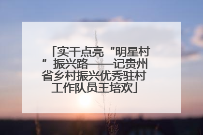 实干点亮“明星村”振兴路——记贵州省乡村振兴优秀驻村工作队员王培欢