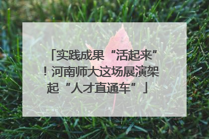 实践成果“活起来”！河南师大这场展演架起“人才直通车”