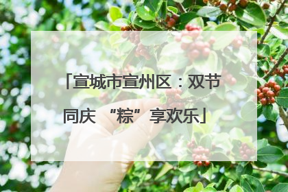 宣城市宣州区：双节同庆 “粽”享欢乐
