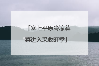 塞上平原冷凉蔬菜进入采收旺季