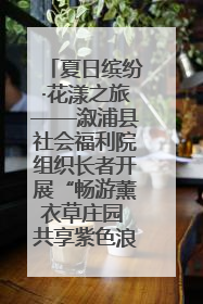 夏日缤纷·花漾之旅——溆浦县社会福利院组织长者开展“畅游薰衣草庄园 共享紫色浪漫”户外活动
