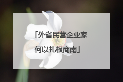 外省民营企业家何以扎根商南