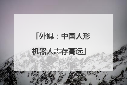 外媒：中国人形机器人志存高远