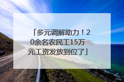 多元调解助力！20余名农民工15万元工资发放到位了