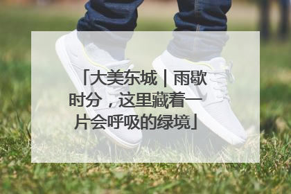 大美东城｜雨歇时分，这里藏着一片会呼吸的绿境