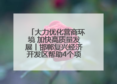 大力优化营商环境 加快高质量发展丨邯郸复兴经济开发区帮助4个项目及时落地