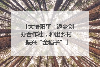 大悟阳平：返乡创办合作社，种出乡村振兴“金稻子”