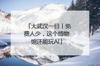 大武汉一日丨免费人少，这个博物馆还能玩AI