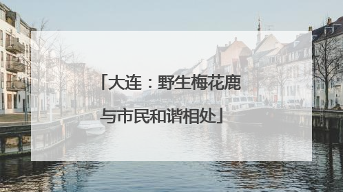 大连：野生梅花鹿与市民和谐相处