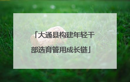 大通县构建年轻干部选育管用成长链