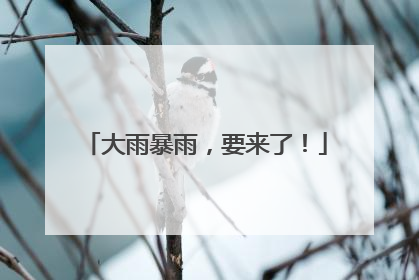大雨暴雨，要来了！