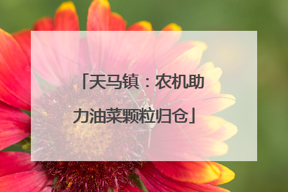 天马镇：农机助力油菜颗粒归仓