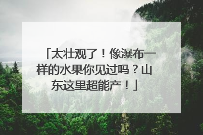 太壮观了！像瀑布一样的水果你见过吗？山东这里超能产！