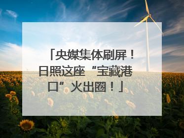 央媒集体刷屏！日照这座“宝藏港口”火出圈！