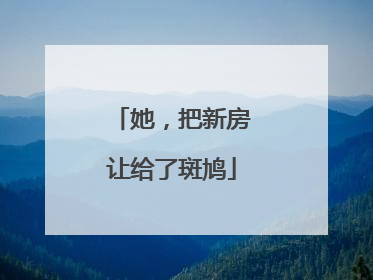 她，把新房让给了斑鸠