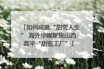 如何成就“甜蜜人生” 海外华媒聚焦山西高平“甜蜜工厂”