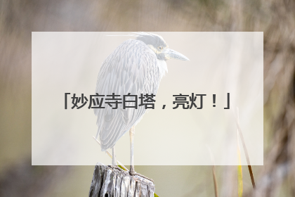 妙应寺白塔，亮灯！