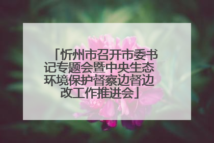 忻州市召开市委书记专题会暨中央生态环境保护督察边督边改工作推进会