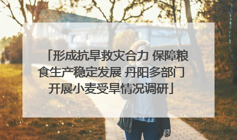 形成抗旱救灾合力 保障粮食生产稳定发展 丹阳多部门开展小麦受旱情况调研