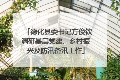 德化县委书记方俊钦调研基层党建、乡村振兴及防汛备汛工作