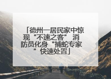 德州一居民家中惊现“不速之客” 消防员化身“捕蛇专家”快速处置