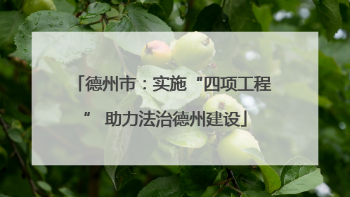 德州市：实施“四项工程” 助力法治德州建设