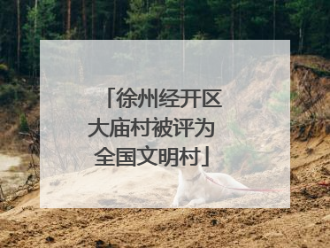 徐州经开区大庙村被评为全国文明村