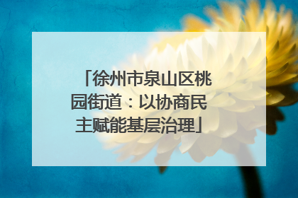 徐州市泉山区桃园街道：以协商民主赋能基层治理