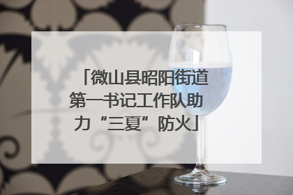 微山县昭阳街道第一书记工作队助力“三夏”防火